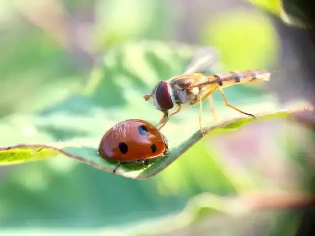 摄影背景模糊人物清晰,变焦模糊摄影教程