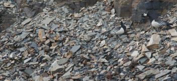 豆瓣9.7的冷门好片，送给每个热爱生命的人