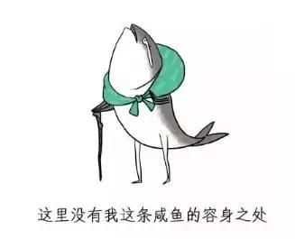 男朋友是内蒙古人,第一次送的礼物是一只羊网友笑喷:成都人只能送火锅底料了!