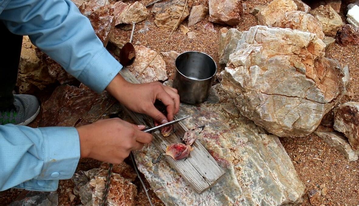 野外求生弹弓捕猎装备,弹弓适合野外求生吗