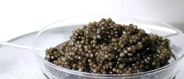 普通鲟鱼有鱼子酱吗,鲟鱼的卵是鱼子酱