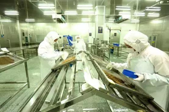 鲟鱼有没有鱼子酱,鲟鱼卵鱼子酱