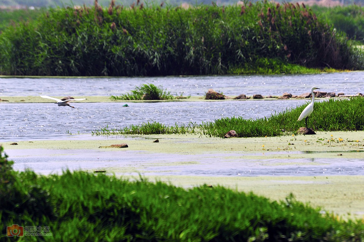 安泰科技产业园,高新区安泰