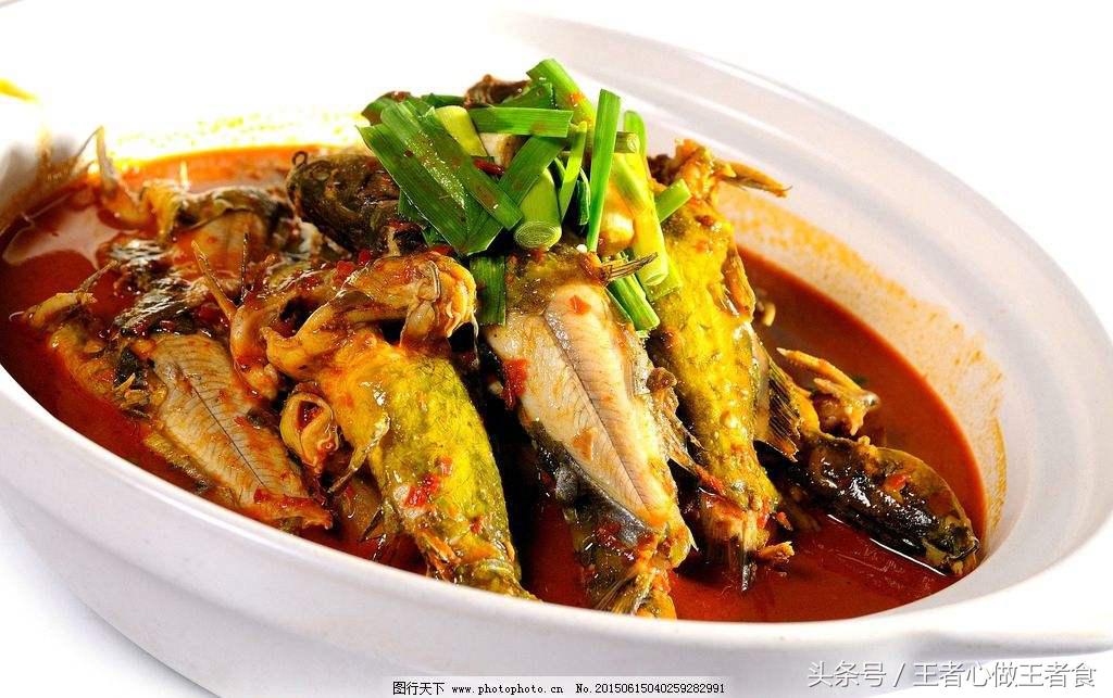 被野生黄刺鱼扎出血了有事吗,身上有刺扎到特别疼的鱼