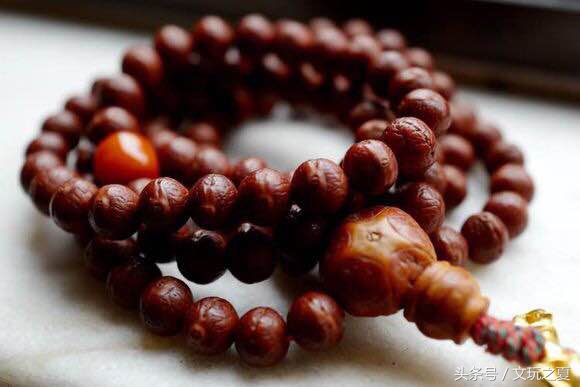 如何选择凤眼菩提,凤眼菩提如何选择