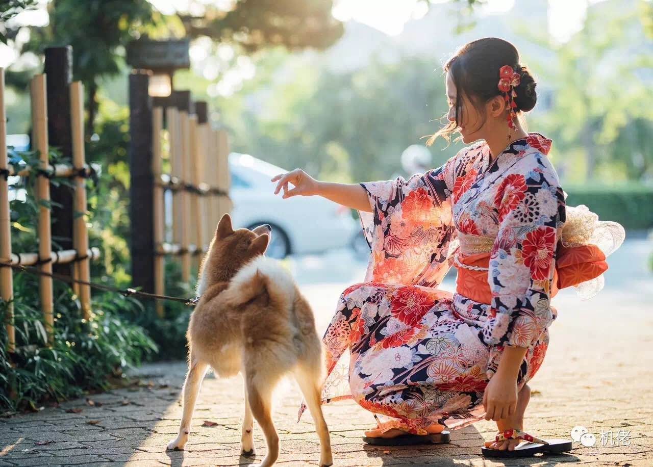 佳能6d2相机好不好,佳能6d2视频测评