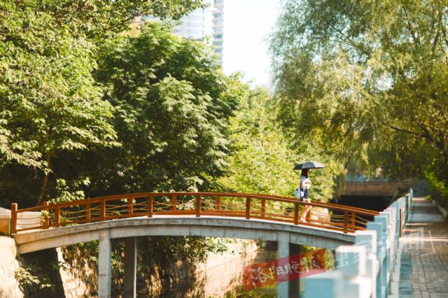 洛阳新增游园,洛阳正在建设的新景区