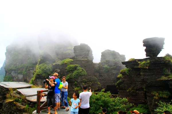 天天有人去山上采蘑菇,每天来观看的游客上万人