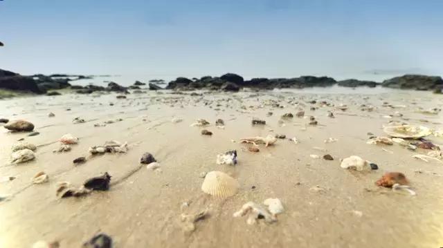 每个人心中有一片大海,每个人心里都有一个大海