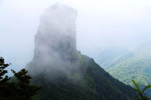 天天有人去山上采蘑菇,每天来观看的游客上万人
