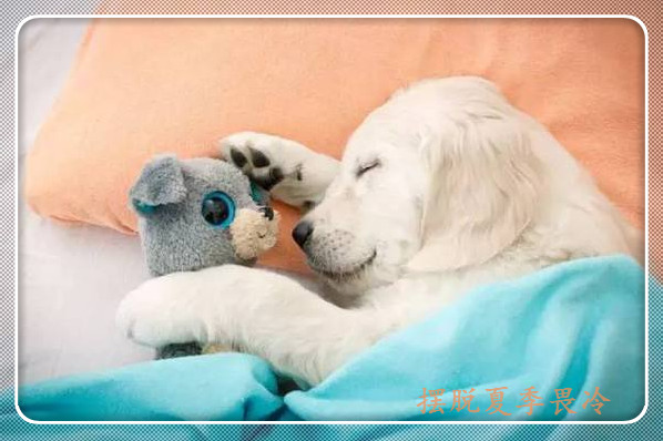 肢寒畏冷手脚冰凉的主要原因,女人夏天手脚冰凉一招解决