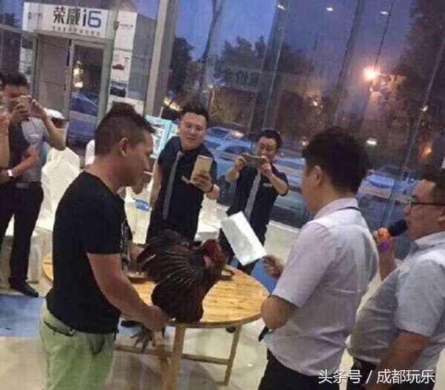 成都车展4S店员工喝鸡血打气，“野马卖肉”为了卖车真拼！