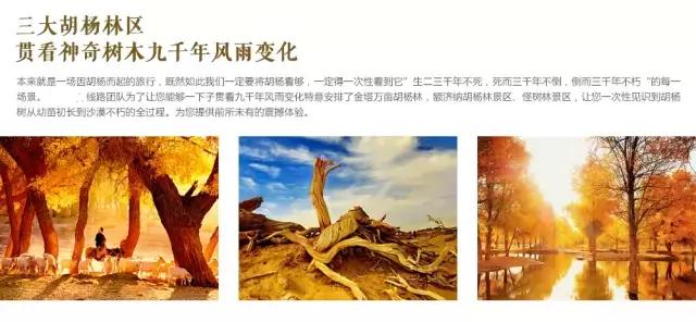 三千年的情缘,三千年的企盼只为这一季的金秋(附攻略)