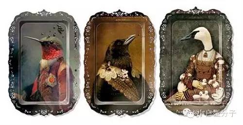 2021上海春季别墅大宅设计展,最好用的小户型设计