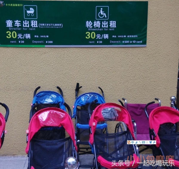 带宝宝长隆野生动物园旅游攻略,广州长隆野生动物园旅游攻略