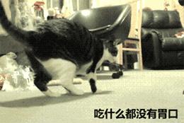 大姨妈期间惹女朋友生气怎么哄,大姨妈怎么缓解情绪