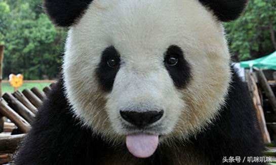 我在steam上买了游戏又给我退款了,我在steam上买了游戏为什么不见了