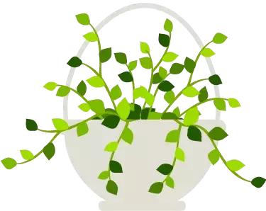 产后三到五天吃什么,产后五天怎么快速恢复