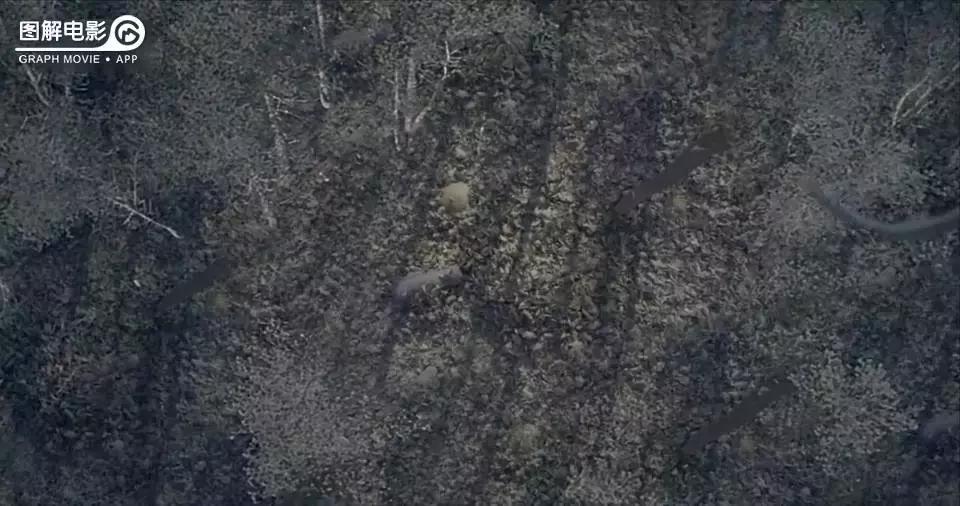 无心法师第一部免费版合集,无心法师第1部