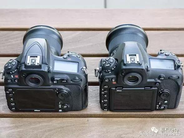 尼康d850打鸟设置,尼康d850测光教程