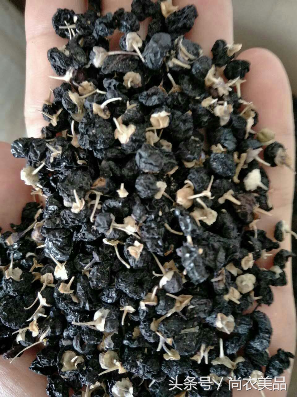 新疆黑枸杞新鲜,最新鲜的黑枸杞