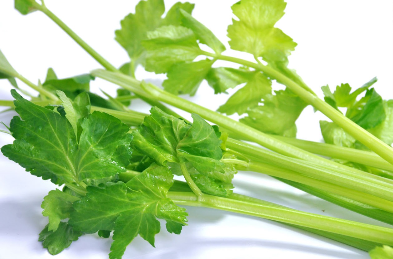 牙垢又臭又硬教你轻松去除,牙垢快速去除不伤牙