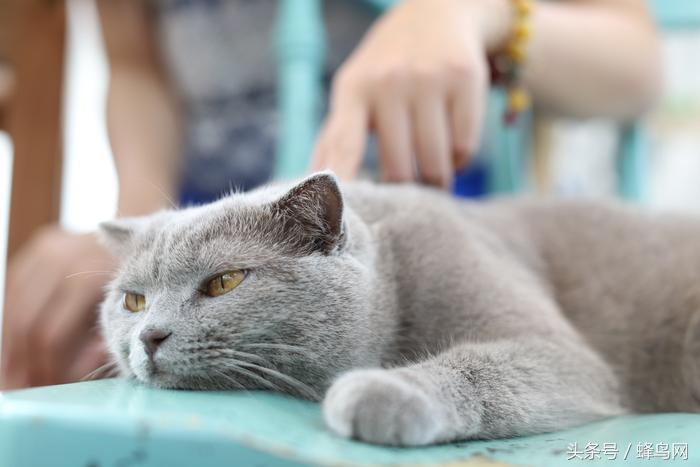 用了20年单反相机,佳能50mm定焦二代和三代区别