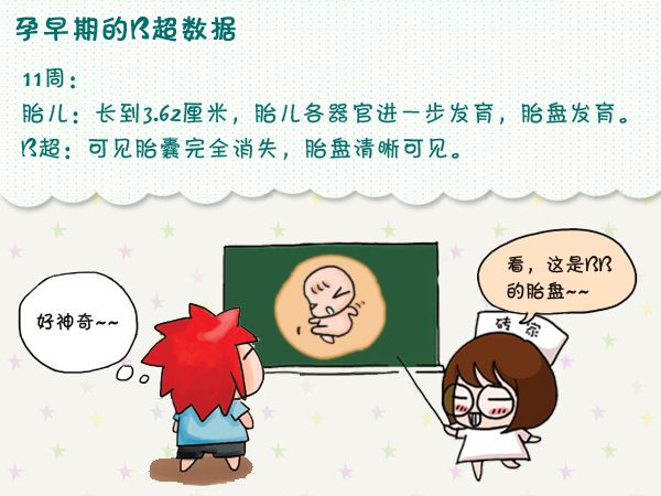 孕早期B超都能检查出什么