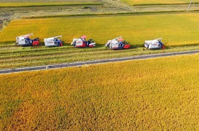 上海嘉定区是否更名为嘉定新区,嘉定要改名字叫嘉定新区吗