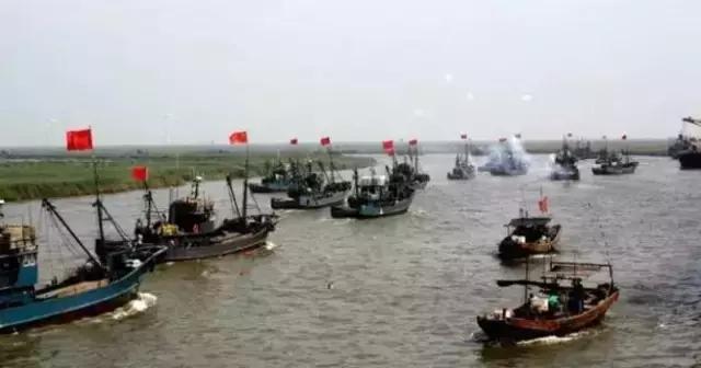 羊口开海！倒计时一天！第一网吃起来！看完哈喇子流一地