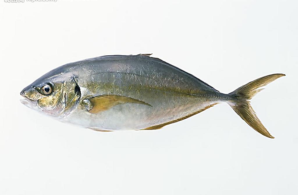 鱼竿脱节修复的正确方法,鱼竿脱节怎么治好视频教学