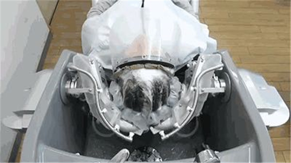 外国网友看见中国表情包笑开了,老外看到中国搞笑表情包