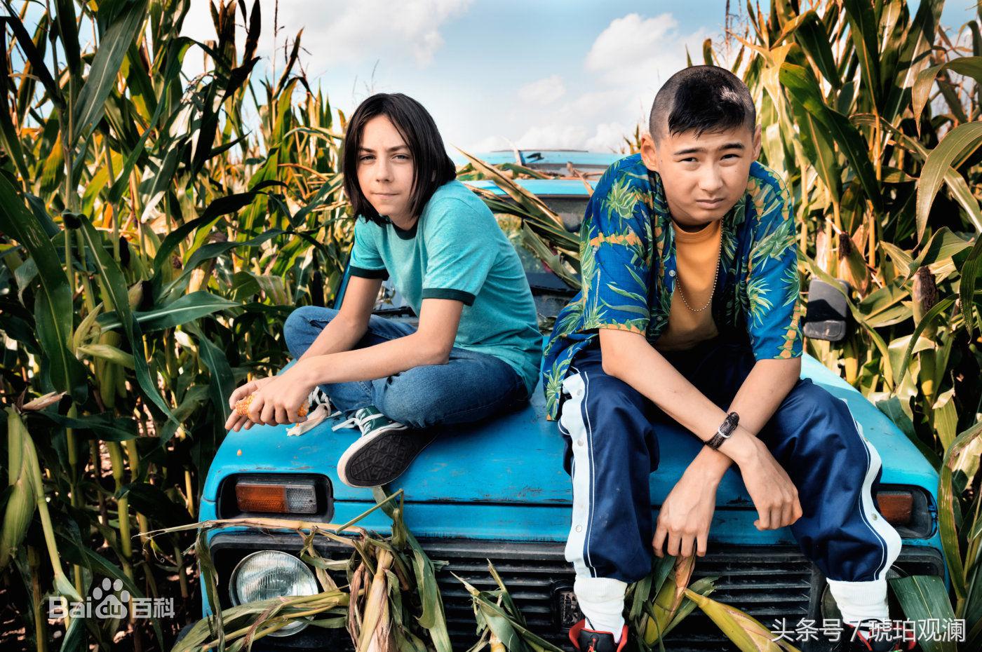 2017年豆瓣评分最高十部电视剧,豆瓣高分一口气看完系列