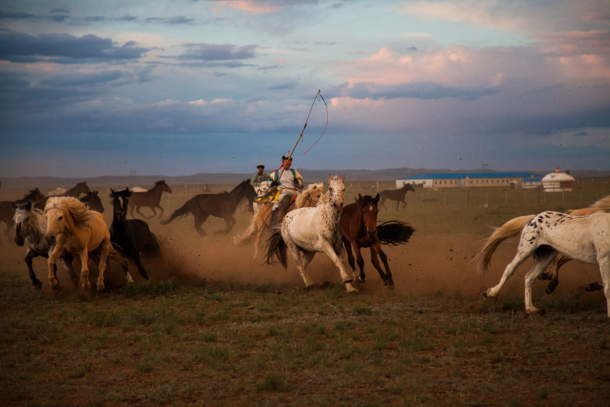 去内蒙，有多少人因为不懂这些文化而闹出了笑话