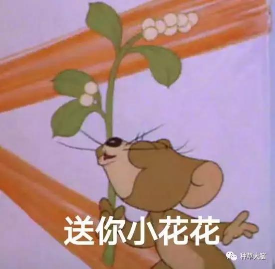 喷雾哪一款最好用,一款超出你的想象的喷雾