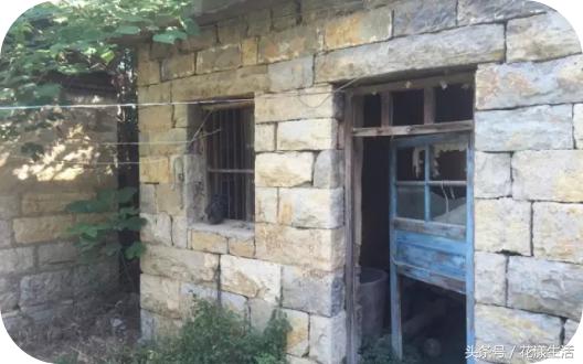 她把2000平方的屋子改造成花园,夫妻花3万改造荒废20年的农村老屋