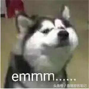 拔草所有唇釉,拔草的好物有哪些