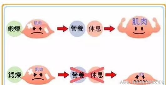 瘦子增肌应该喝增肌粉还是蛋白粉,50岁女人瘦子在家增肌怎样锻炼