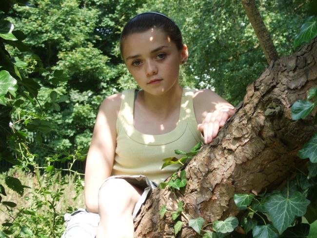 权力的游戏大家喜欢哪个角色,权力的游戏中所有角色介绍