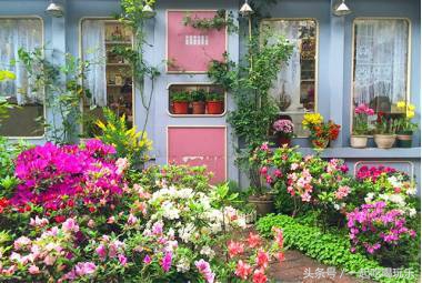 「上海」我们斗胆给上海10大网红马路排了个名!第一名竟不是武