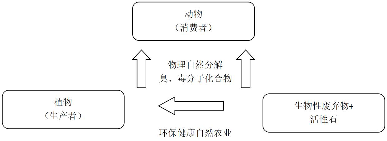 揭秘有机蔬菜种植技术论文,有机蔬菜种植技术加盟