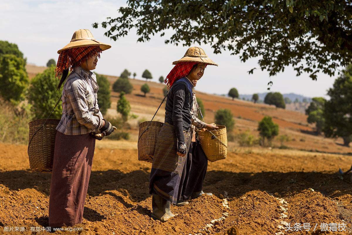 鐢熷鎵撶鎬庝箞淇濆瓨,鐢熷鍙互鍐峰喕淇濆瓨