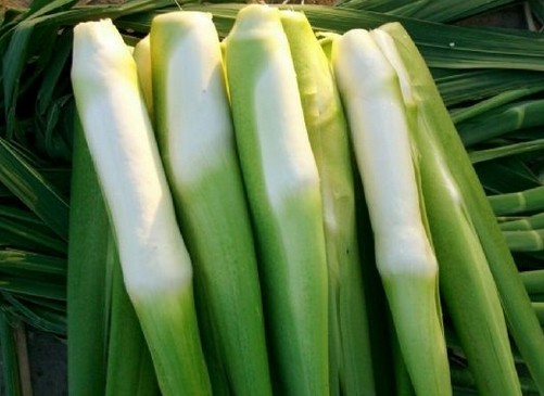 中国特有的蔬菜,中国特有蔬菜水果