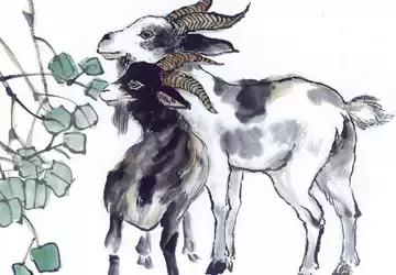 从心理学解读十二生肖婚配,最完整的12生肖婚配表超级准