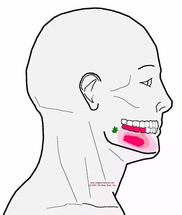 什么坏习惯会让脸更大,什么坏习惯会让脸越来越大