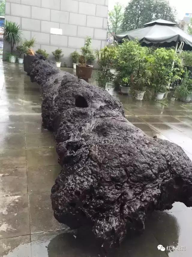 图说金丝楠之三类三别,金丝楠分为几个档次