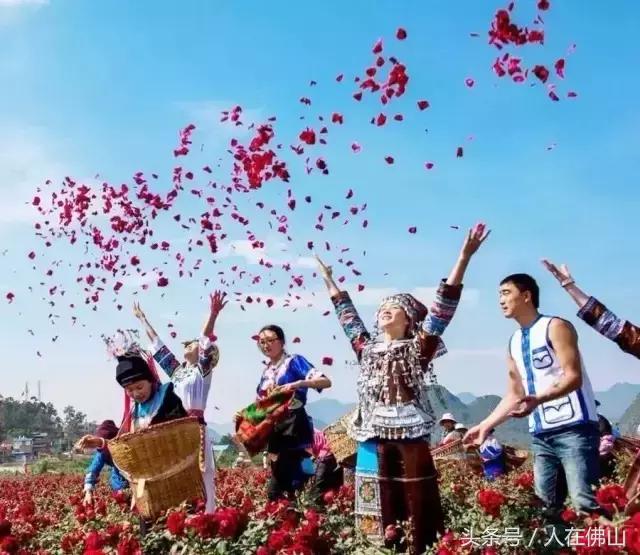 从佛山坐高铁到普者黑从哪进站,佛山西怎么坐高铁到普者黑