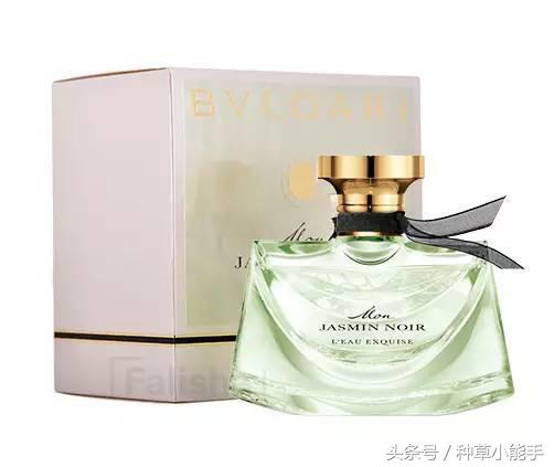 五款好用却便宜的国货香水,适合女生春天使用的香水小众平价