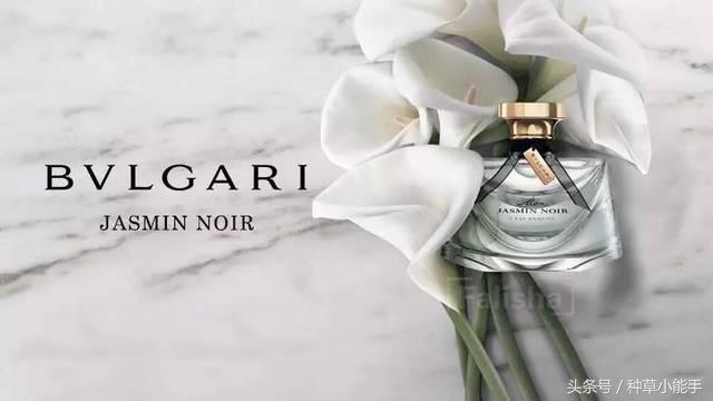 这5款堪比大牌的平价香水，用过的姑娘都有男盆友了