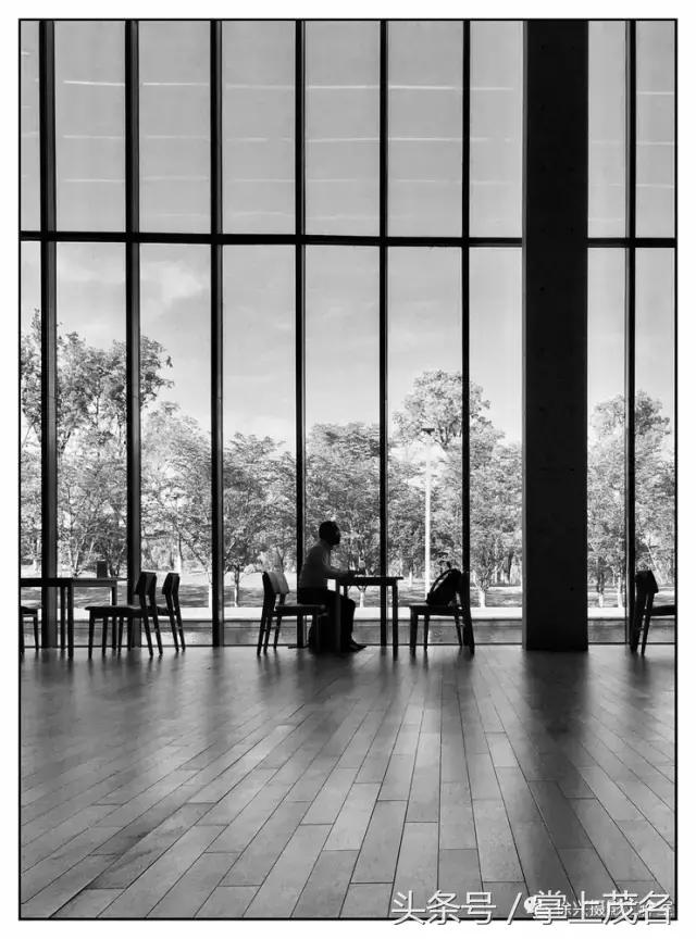 手机摄影田园生活图片,手机摄影主题